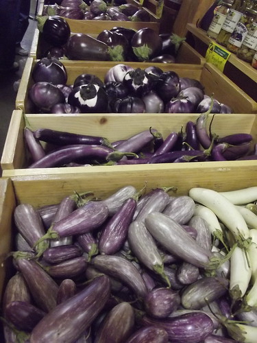 Eggplants on Display at Foppema's Farm