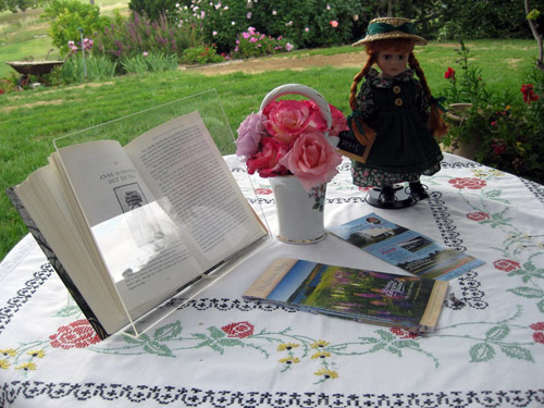 Anne of Green Gables Table Shot