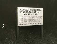 Anglų lietuvių žodynas. Žodis united mine workers of america reiškia jungtinės kasyklos darbuotojų valstijos lietuviškai.