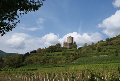 Le Château de Kaysersberg