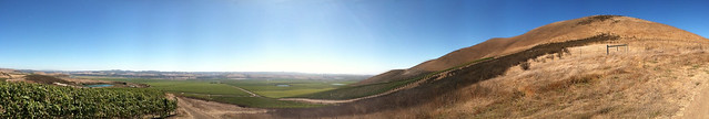 Vineyard 2011 Panorama with lakes and mnt.jpg