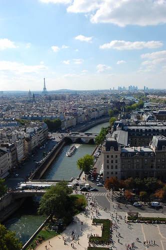 View of the Seine from the top of Notre Dame