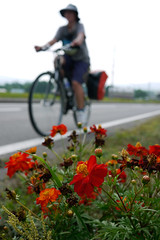 Cycle touring near Niseko, Hokkaido, Japan