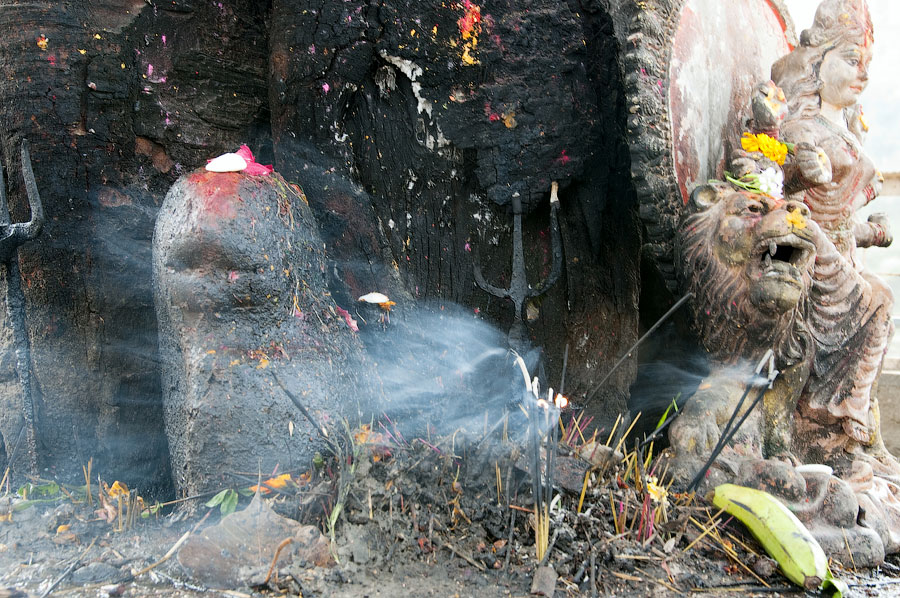 Дурга-пуджа около храмового баньяна