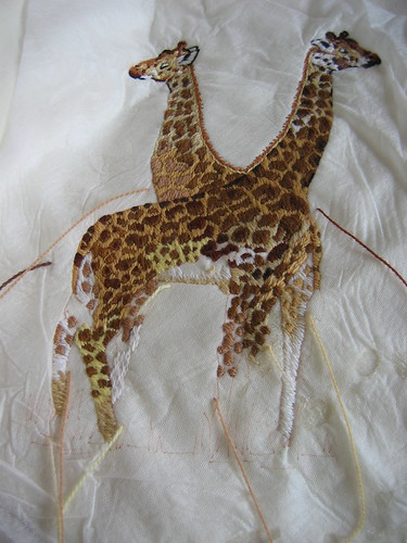 Giraffes detail
