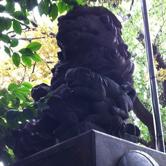 山王熊野神社は阿吽とも子供二匹連れ