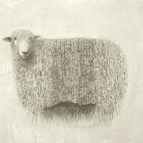 sheep print meagan donegan