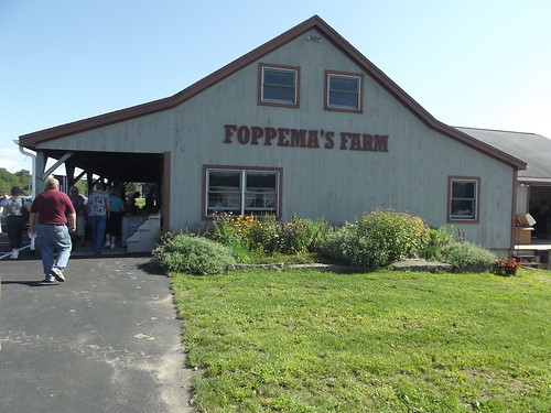Welcome to Foppema's Farm