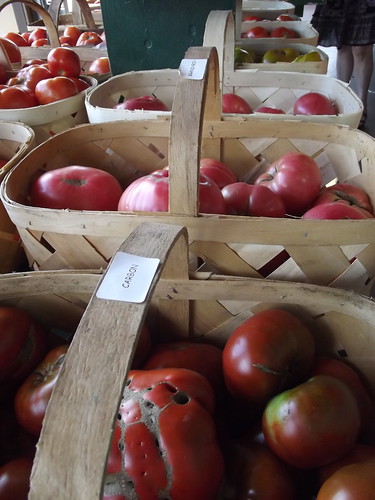 Heirloom Tomatoes at Verrill Farm