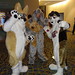 Furries • <a style="font-size:0.8em;" href="http://www.flickr.com/photos/14095368@N02/6120840184/" target="_blank">View on Flickr</a>
