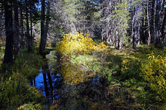 2011-10-15 10-23 Sierra Nevada 287 Yosemite National Park