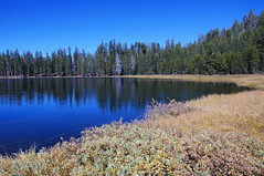 2011-10-15 10-23 Sierra Nevada 303 Yosemite National Park, Lukens Lake Trail