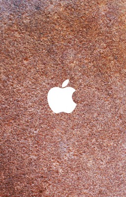 iPhone Cover Apple Stone