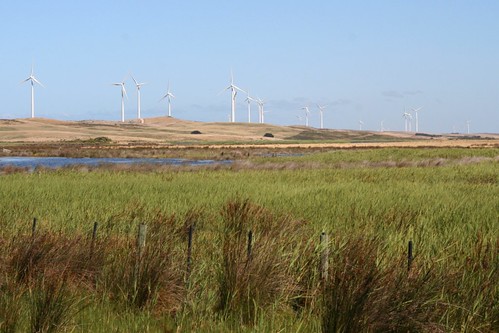 Codrington Wind Farm