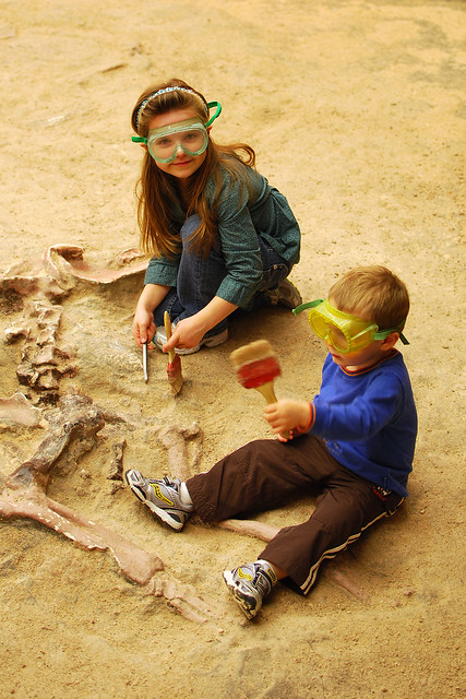 Fossil Dig