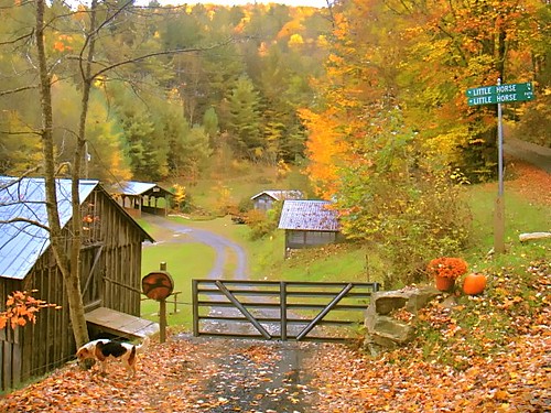 Little Horse Creek Autumn entrance
