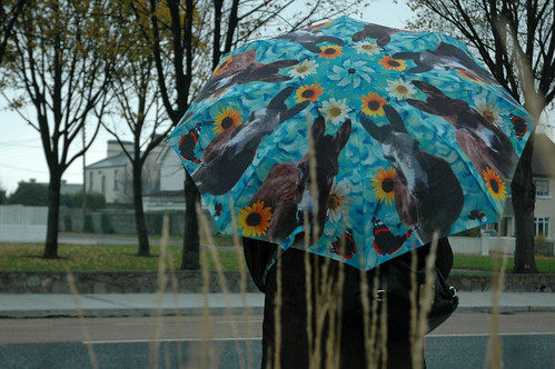 #10 Munching Umbrella