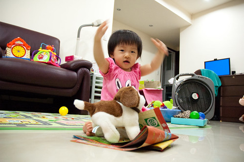 Playing with toy dog. 玩狗狗玩具～