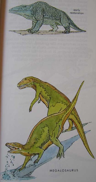 Peterson First Guides: Dinosaurs p. 35