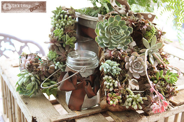 succulent wreath diy tutorial