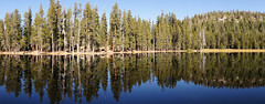 2011-10-15 10-23 Sierra Nevada 315 Yosemite National Park, Lukens Lake Trail