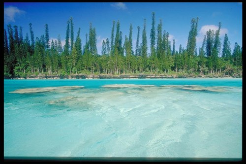 Nuova Caledonia Isola dei Pini