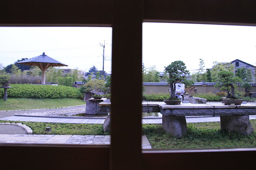 盆栽美術館 - bonsai museum