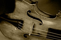 Jane's Violin 02