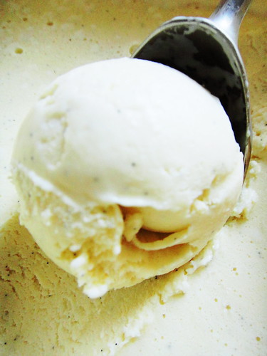 A Perfect Scoop of Vanilla Ice Cream | Heaven on a Spoon