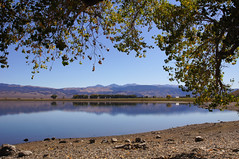 2011-10-15 10-23 Sierra Nevada 523 Topaz Lake
