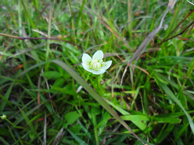 DSC01500