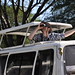 AA SafariBus